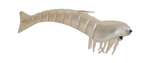 6" SHRIMP - D.O.A. Lures