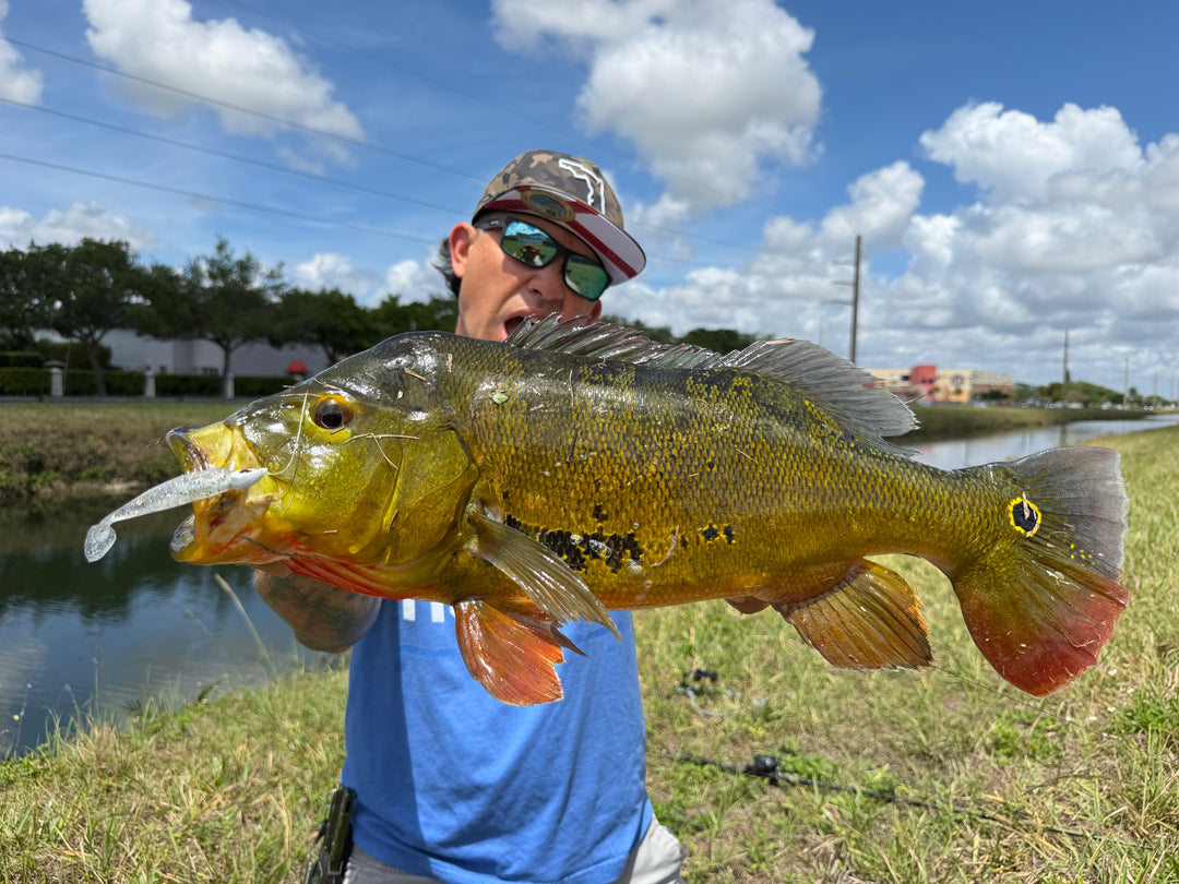 TerrorEyz Jig Heads | 3X Strong Hook